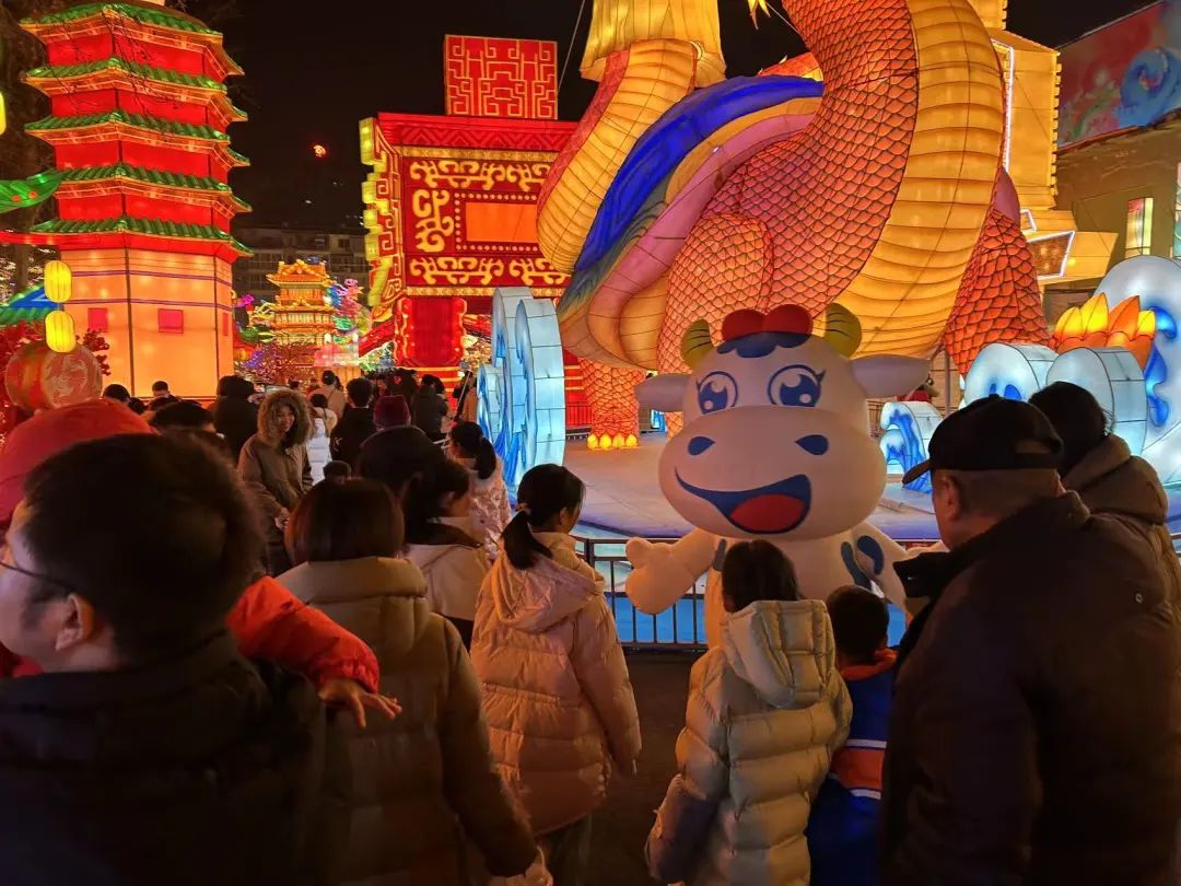 央視直播鄭州龍年燈會(huì)迎新春，花花牛品牌上大分