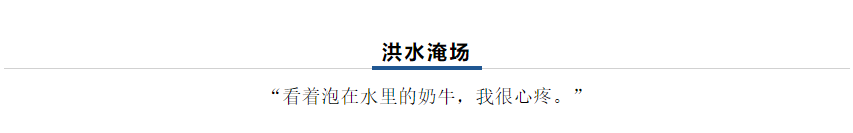 【乳報(bào)·聚焦】“豫”難而上的中原牛人“太中了”！
