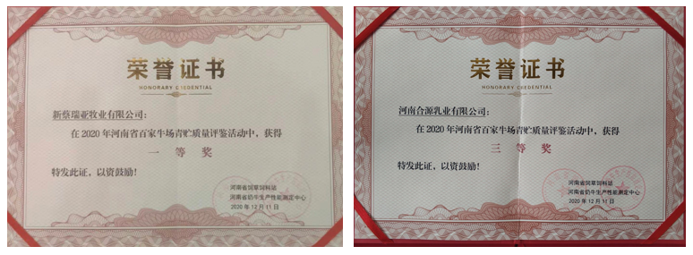 榮譽(yù) | “百家牛場青貯質(zhì)量評鑒活動”花花牛新蔡瑞亞牧業(yè)、河南合源乳業(yè)分別榮獲一、三等獎