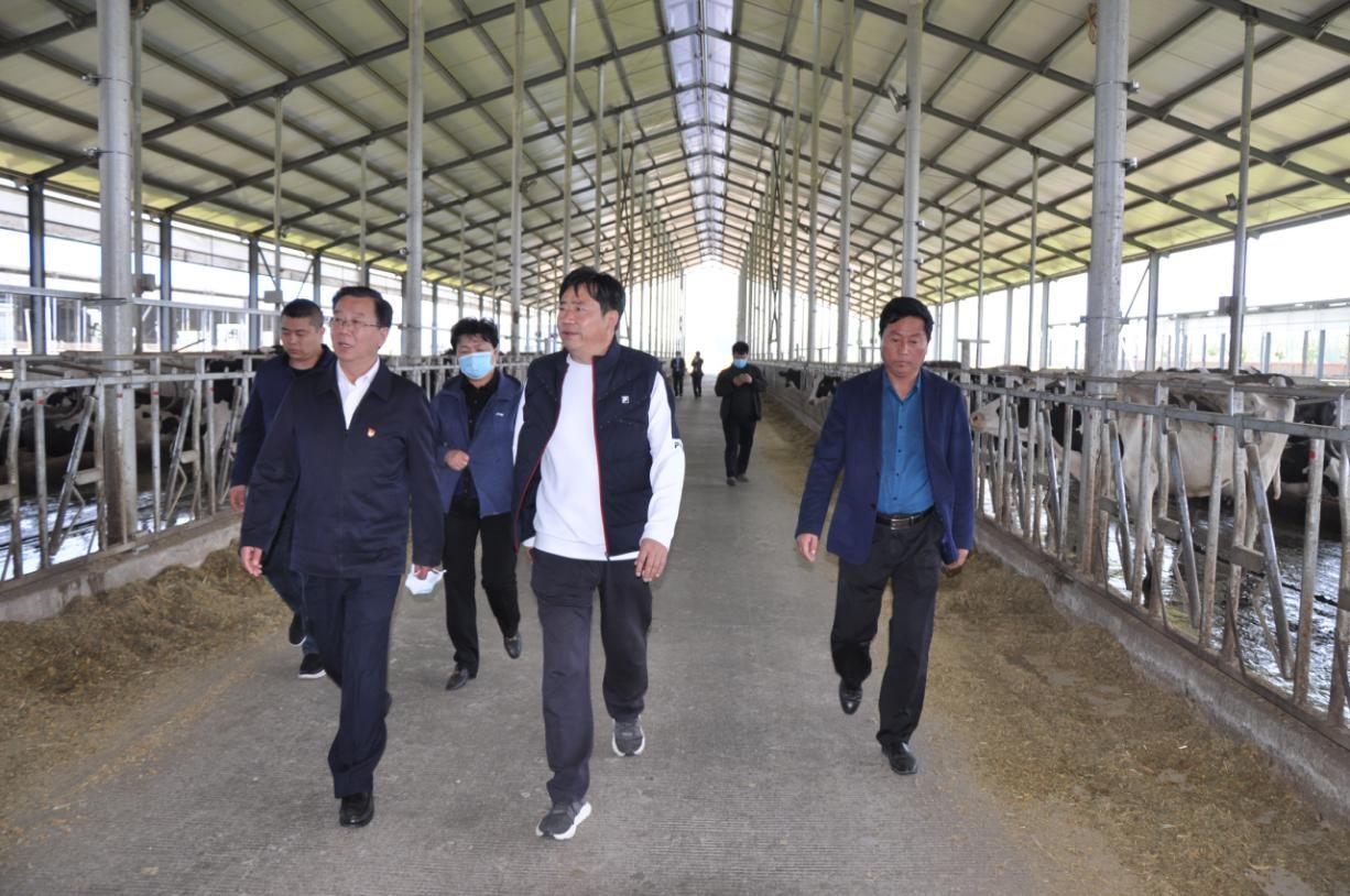 商丘市委常委、宣傳部部長王全周一行蒞臨睢縣瑞亞牧業(yè)有限公司調(diào)研