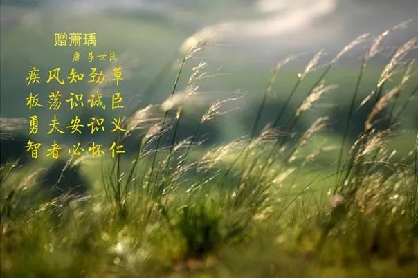 花花牛 | 疾風(fēng)來(lái)臨，你是不是勁草？